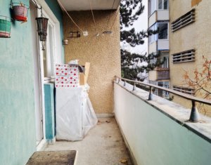 Appartement 2 chambres à vendre dans Cluj-napoca, zone Gheorgheni
