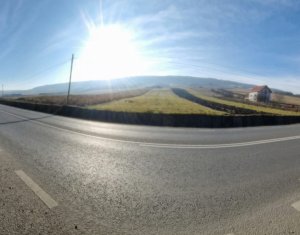 , 5100m2 on Mera