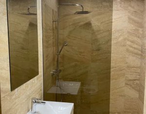 Appartement 2 chambres à louer dans Cluj-napoca, zone Gheorgheni