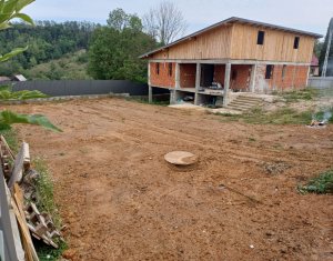 Maison 4 chambres à vendre dans Bedeciu, zone Centru