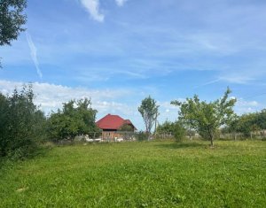 Terrain à vendre dans Dangau Mare