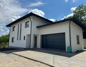 , 150m2 in Dezmir