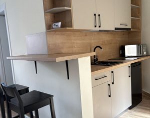 Maison 3 chambres à louer dans Cluj-napoca, zone Plopilor