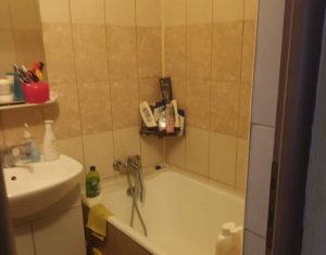 Appartement 2 chambres à vendre dans Cluj-napoca, zone Iris