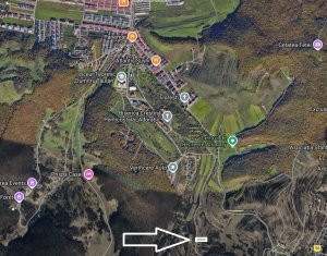 , 1071m2 in Floresti