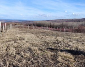 Teren intravilan, cu potential mare