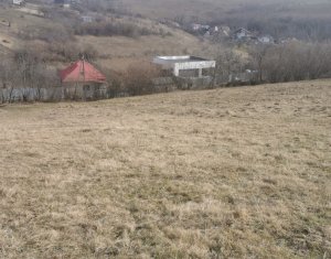 Land for sale in Feleacu