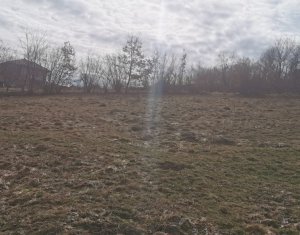 Land for sale in Feleacu
