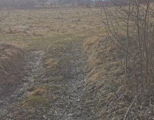 Land for sale in Feleacu