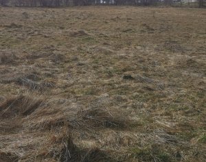 Land for sale in Feleacu