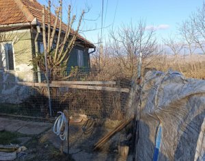 , 1500m2 on Boju