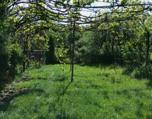 Maison 3 chambres à vendre dans Dumbrava