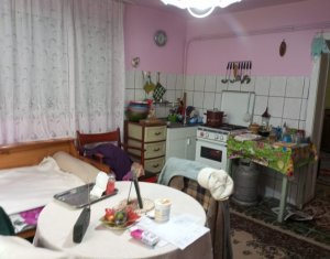 Maison 3 chambres à vendre dans Dumbrava