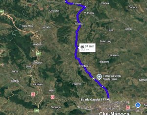 Maison 3 chambres à vendre dans Aschileu Mare