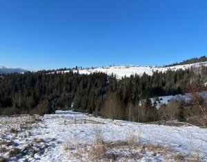 , 17070m2 dans Belis