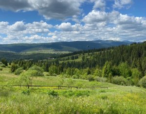 Terrain à vendre dans Belis