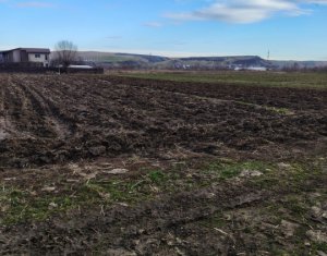 , 8500m2 on Jucu
