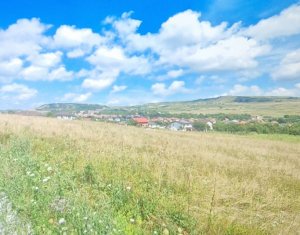 Parcela de teren intravilan de vanzare in Chinteni