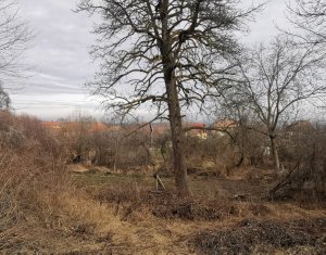 , 1547m2 on Gheorghieni