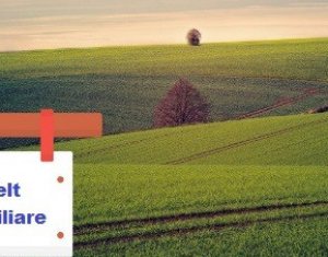 Telek eladó on Chinteni