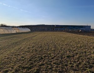 , 3500m2 on Apahida