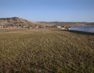 Terrain à vendre dans Apahida