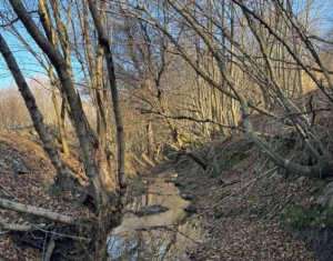 Teren spectaculos, intravilan,  Feleacu, zona linistita, padure + parau