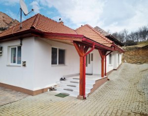 Casa la tara, la 30 min de Cluj – renovata, livada pe rod si teren 1000 mp