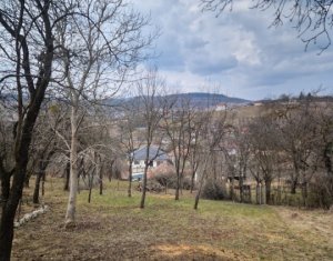 Casa la tara, la 30 min de Cluj – renovata, livada pe rod si teren 1000 mp