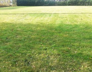 , 700m2 in Salicea