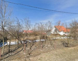 , 920m2 in Salicea