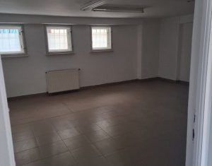 Casa individuala, 748 mp utili, 14 incaperi, ideal birouri