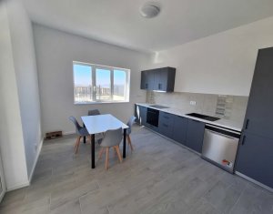 Ház 4 szobák kiadó on Cluj-napoca