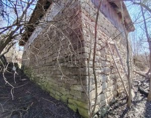 Terrain à vendre dans Micesti, zone Centru