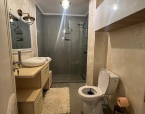 Lakás 2 szobák kiadó on Cluj-napoca, Zóna Dambul Rotund