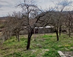 Ház 3 szobák eladó on Moldovenesti