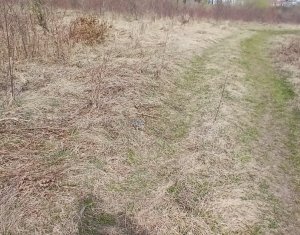 , 600m2 on Cluj-napoca, Zóna Buna Ziua