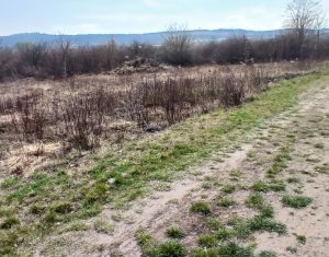 Terrain à vendre dans Cluj-napoca, zone Buna Ziua