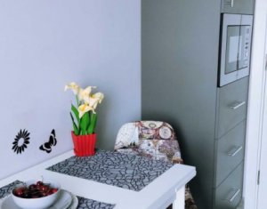 Lakás 1 szobák kiadó on Cluj-napoca, Zóna Intre Lacuri