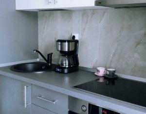 Lakás 1 szobák kiadó on Cluj-napoca, Zóna Intre Lacuri