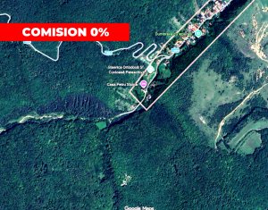 OCAZIE | 5755 mp PĂDURE matura în Stolna | Utilități 200m | Front 17m la drum | 
