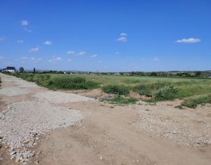 , 10000m2 on Jucu De Mijloc