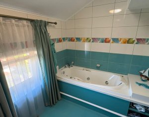 Vila superba in Andrei Muresanu, dotari de lux, piscina si SPA, 865 mp teren !