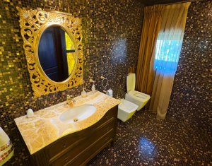 Vila superba in Andrei Muresanu, dotari de lux, piscina si SPA, 865 mp teren !