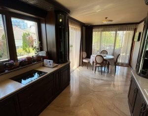 Vila superba in Andrei Muresanu, dotari de lux, piscina si SPA, 865 mp teren !