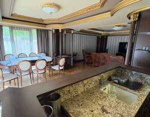 Vila superba in Andrei Muresanu, dotari de lux, piscina si SPA, 865 mp teren !