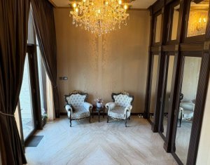 Vila superba in Andrei Muresanu, dotari de lux, piscina si SPA, 865 mp teren !