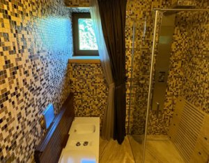 Vila superba in Andrei Muresanu, dotari de lux, piscina si SPA, 865 mp teren !