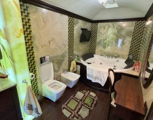 Vila superba in Andrei Muresanu, dotari de lux, piscina si SPA, 865 mp teren !