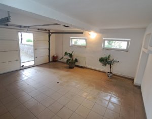 Spatiu de inchiriat la demisol in Andrei Muresanu